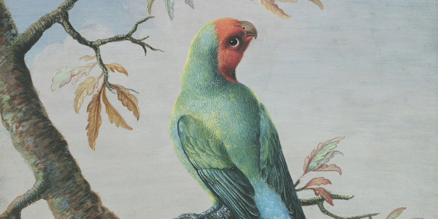 striking wildlife paintings
