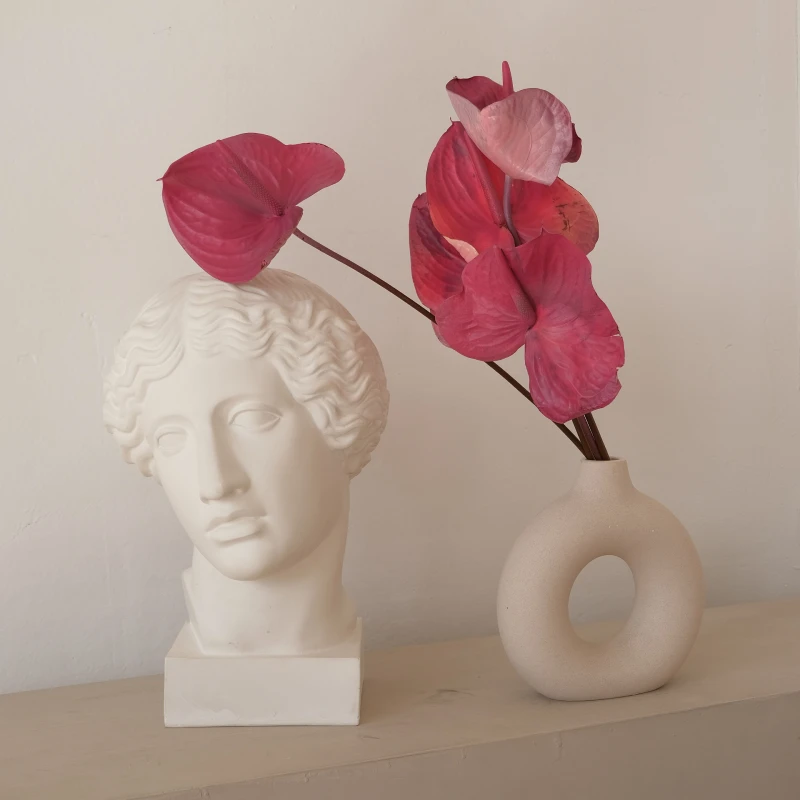 A serene minimalist scene featuring a gypsum head bust and a vase with pink anthurium flowers