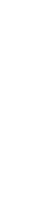 techzon logo vertical version